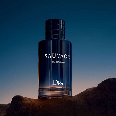 parfüm ähnlich dior sauvage|dior sauvage fragrance.